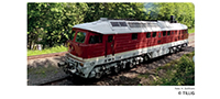 05777 | Diesel locomotive Nossen-Riesaer Eisenbahn-Compagnie GmbH